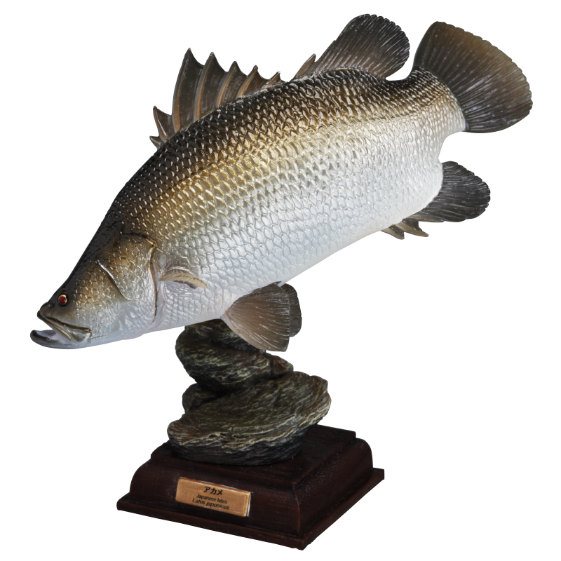 NTC 日本の清流 増補特装版 – ネイチャーテクニカラー公式