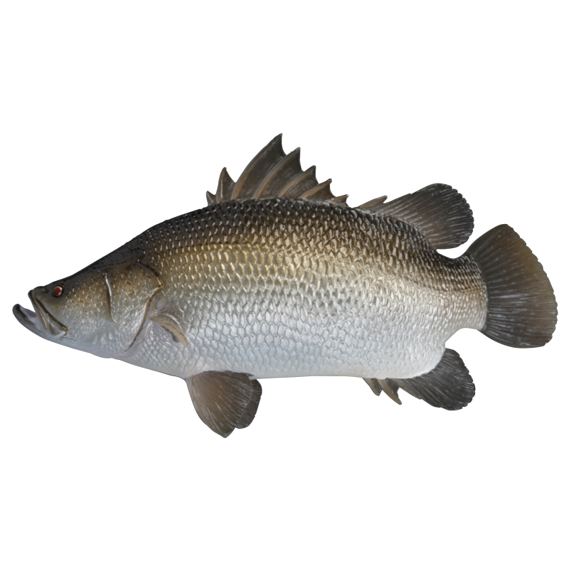 NTC 日本の清流 増補特装版 – ネイチャーテクニカラー公式