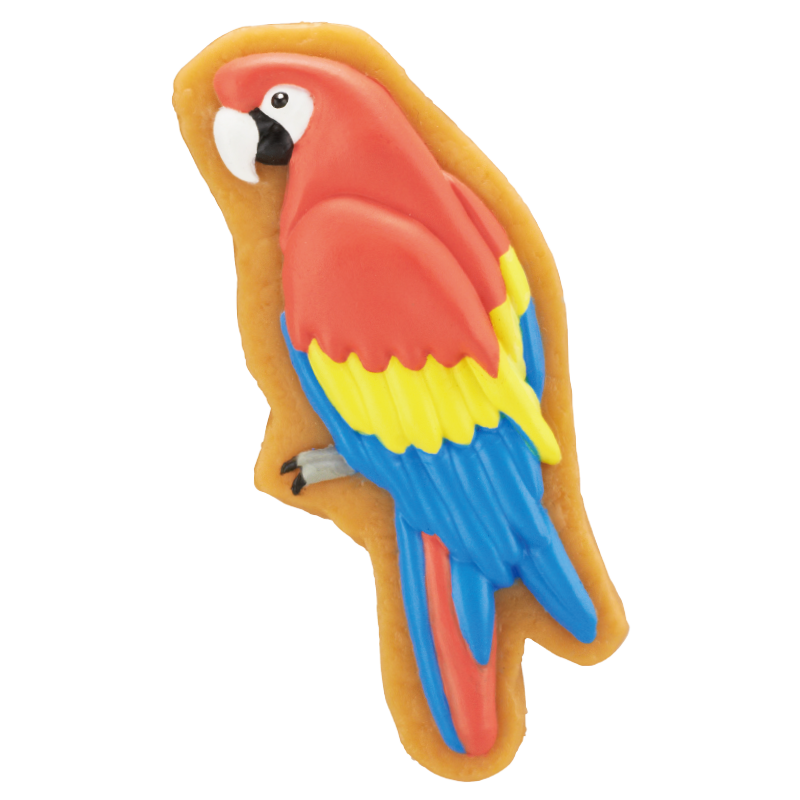 ATC 鳥のアイシングクッキー フィギュアマグネット – ネイチャー