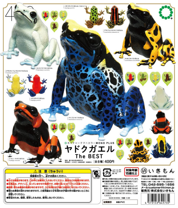 T*N様 NGC イスラエル 4枚セット コレクション整理4枚セット】NGC