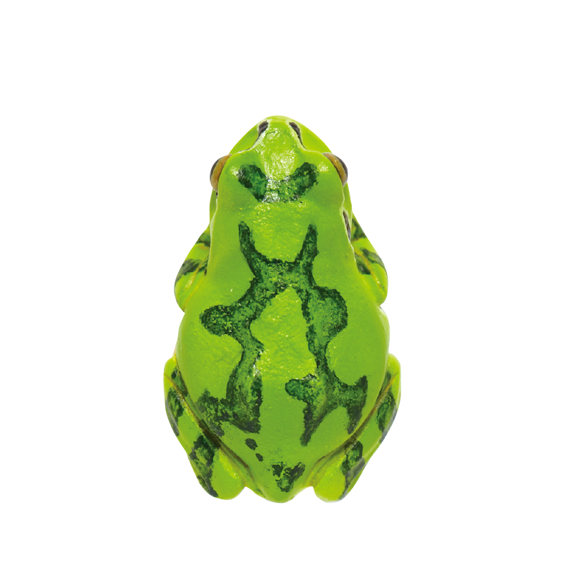 アマガエル マグネット＆ボールチェーン – ネイチャーテクニカラー公式