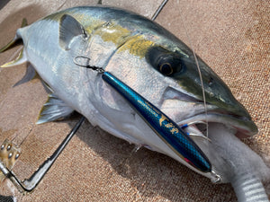 海燕185F/Umitsubame185F – natureboysofficialwebstore