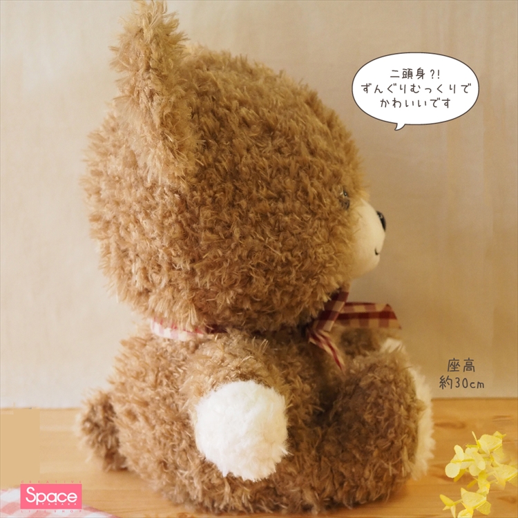 スペース田中限定！くまちゃん | フジグランナタリー