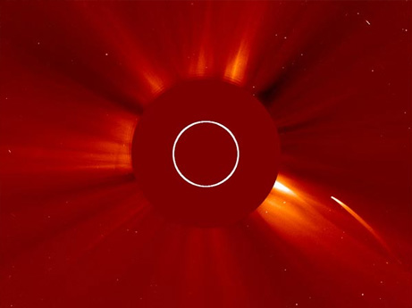 太陽に飛び込み蒸発する彗星を初撮影 | ナショナル ジオグラフィック