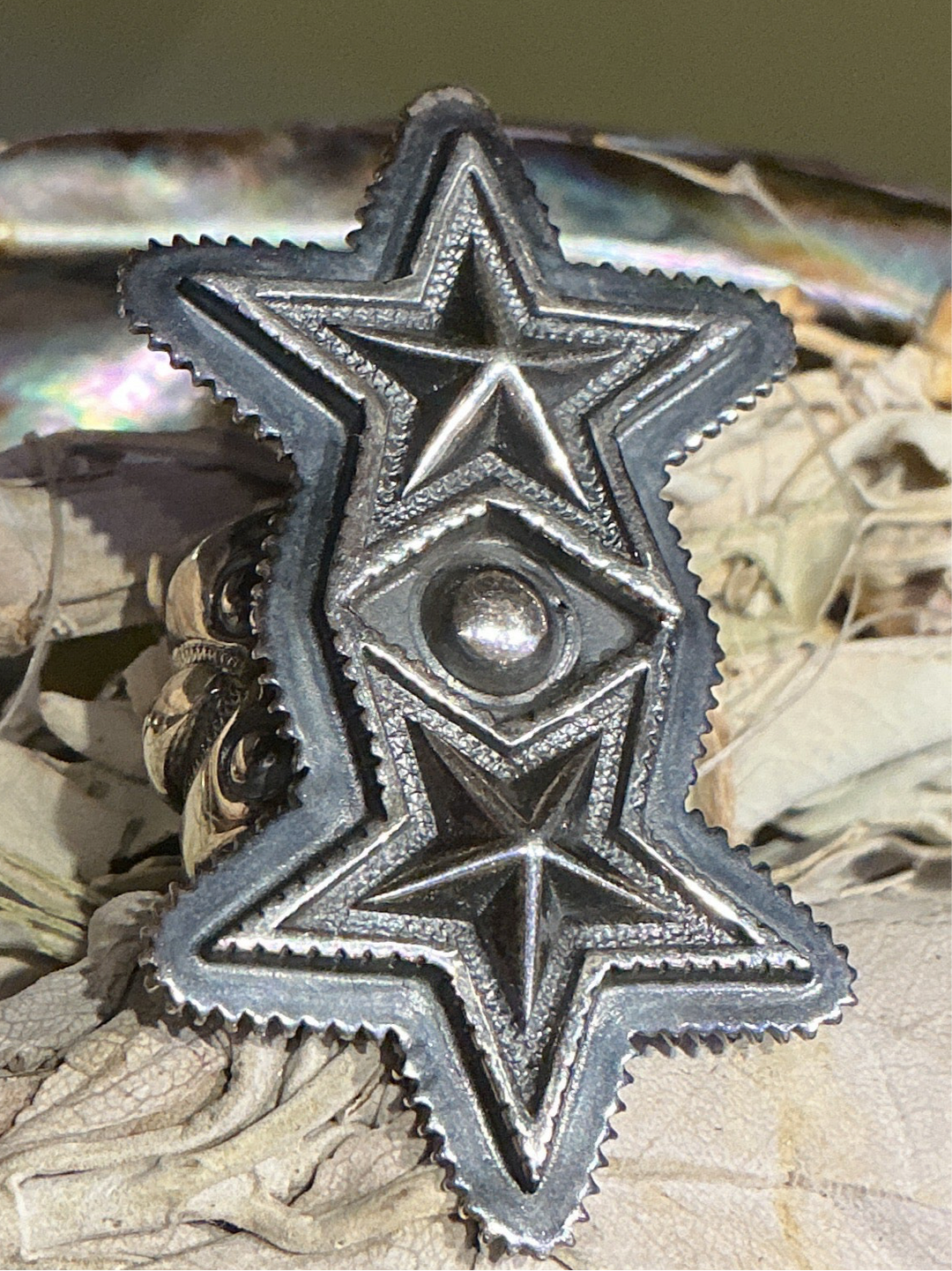 C. Sanderson – Native Star