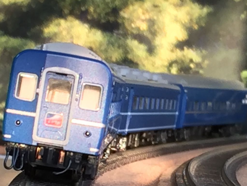 185系200番台「踊り子」新塗装・強化スカートが入線しました。TOMIX