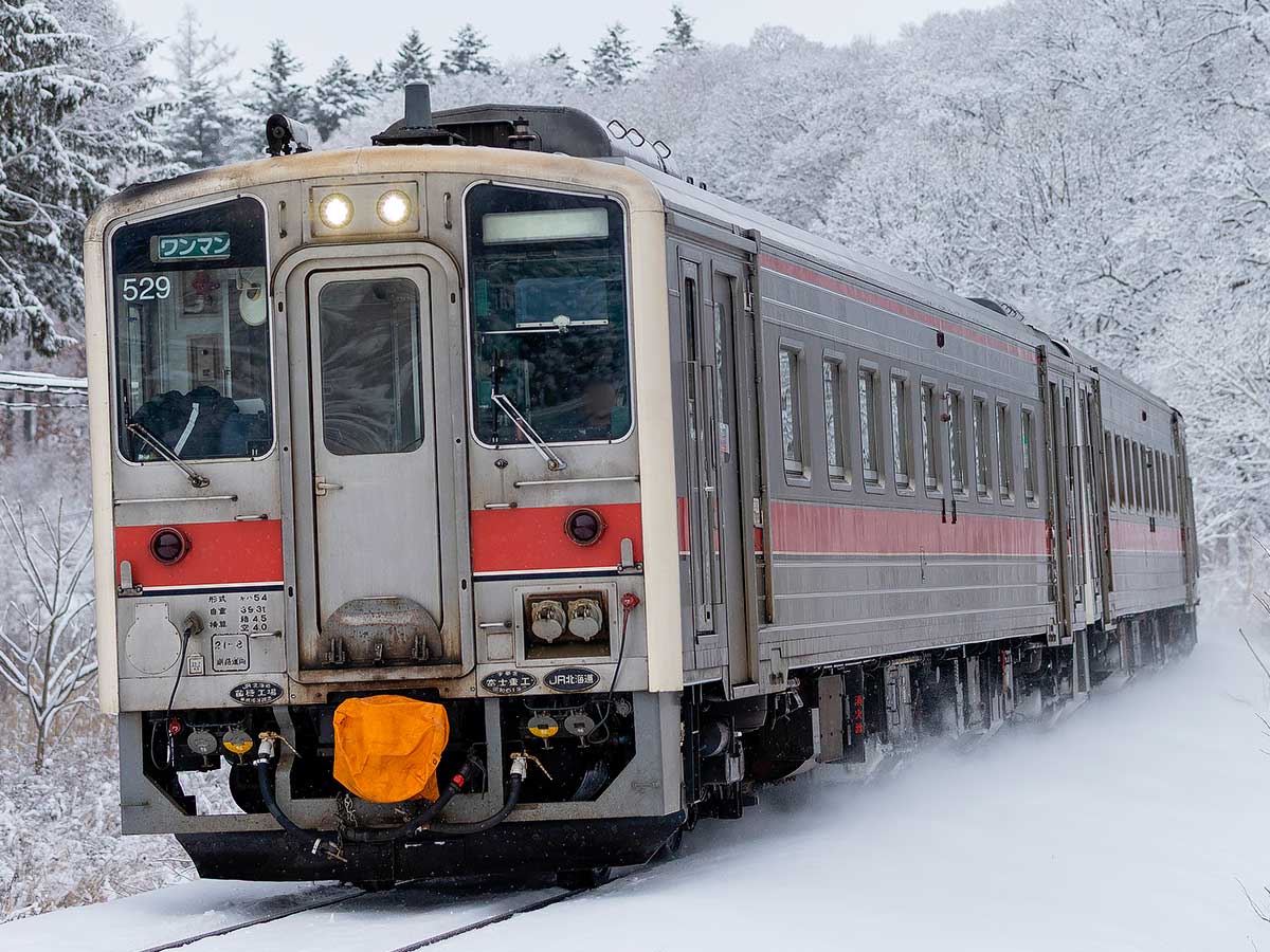 JR北海道キハ54形（500番代・元急行仕様・車番選択式） (動力付き