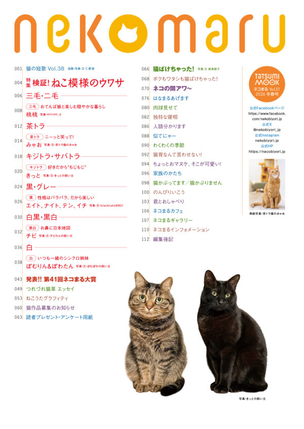 明日発売】猫の毛色と性格にまつわるウワサを検証！ 『ネコまる』2026