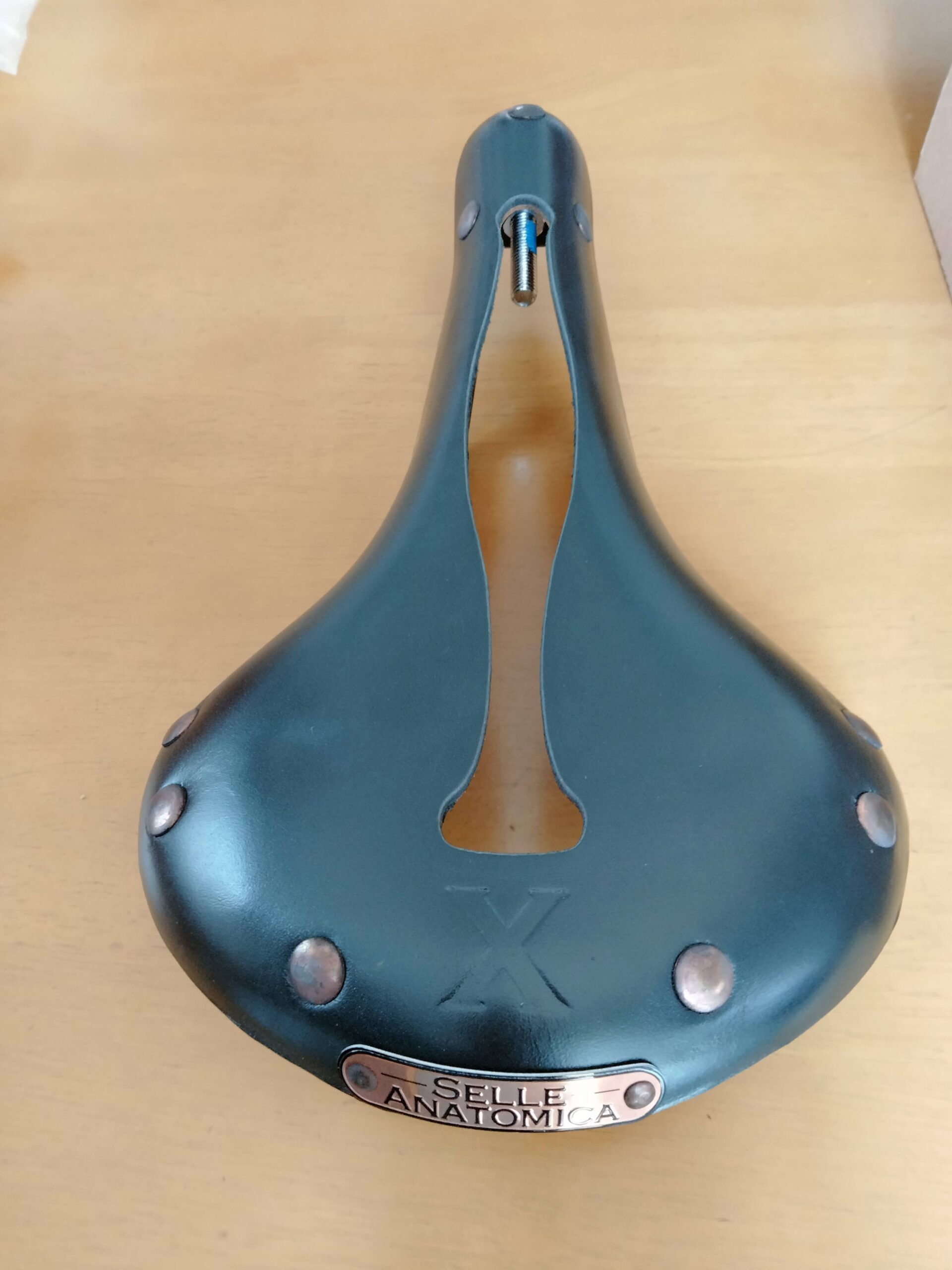 レビュー】SELLE ANATOMICA (セラアナトミカ) X1 WaterShed サドル
