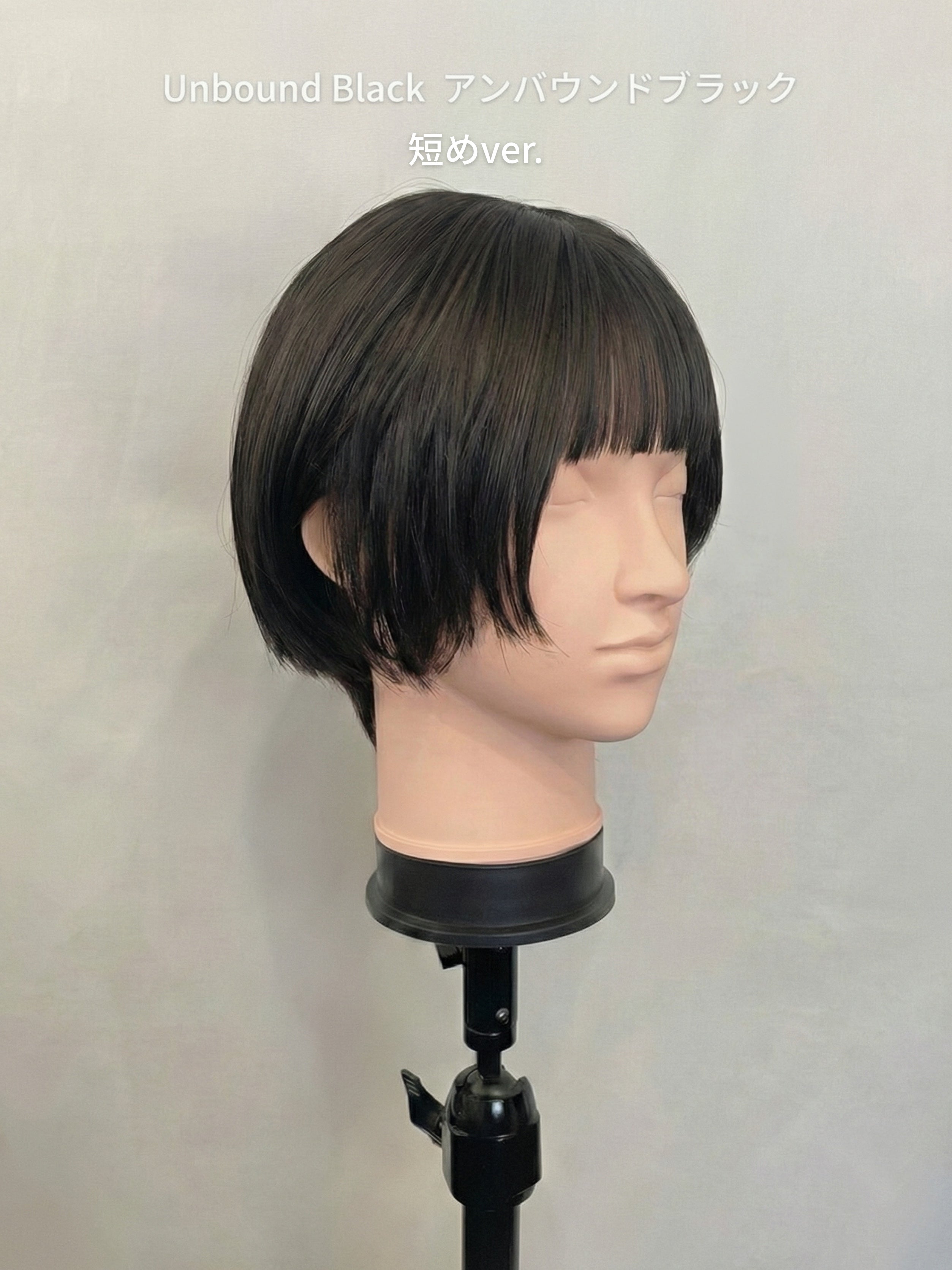 ポールマッシュレイヤー/ウィッグ/ショートレイヤー