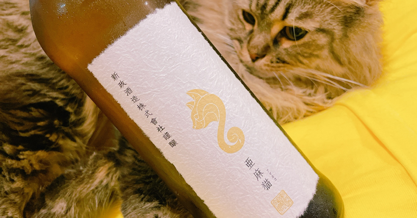 本日の1本】新政 亜麻猫（あまねこ）白麴で醸される「高酸味系日本酒