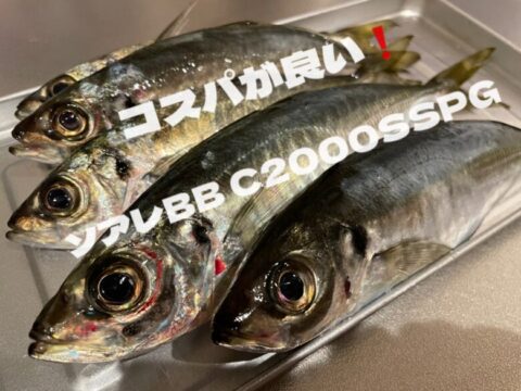 インプレ】シマノ 22ソアレBB C2000SSPG この機能で価格が安すぎる