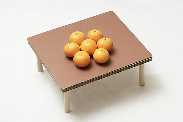 猫専用こたつ」がヒットした秘訣とは。 販売価格は市場価格の2倍でも爆