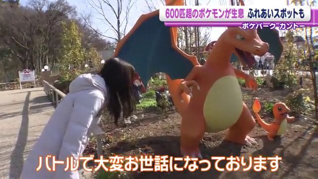 初公開】600匹超のポケモンと出会える『ポケパーク カントー』 施設内