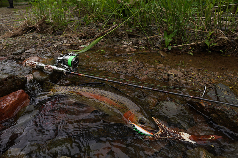 ACB554Mと524Mについて｜ニュース（総合ブログ） ｜Casket カスケット