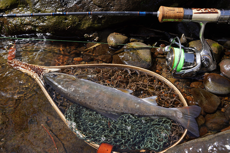 アルセドクライマー514ML（受付にあたって補足説明）｜ニュース（総合