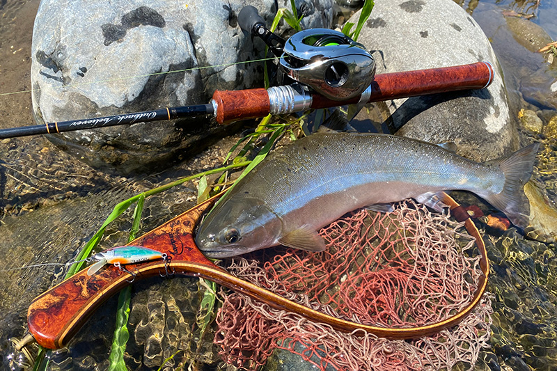 2021年投稿｜ニュース（総合ブログ） ｜Casket カスケット