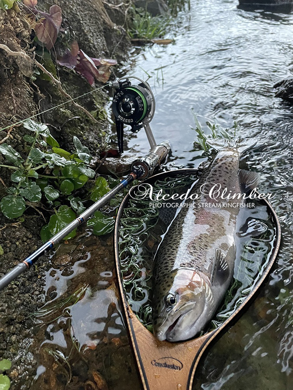 アルセドクライマー】ACB514ML｜ニュース（総合ブログ） ｜Casket