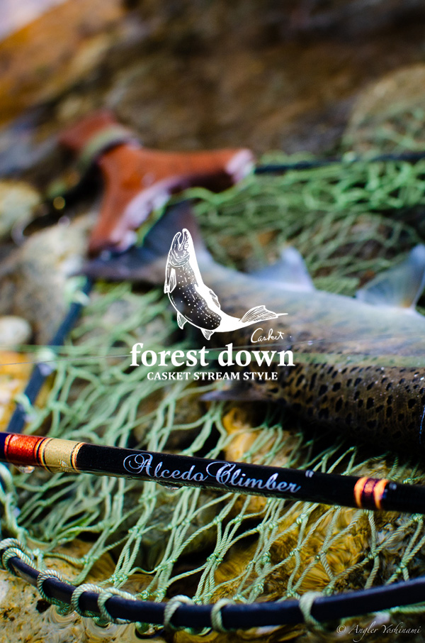 アルセドクライマー】ACB524MS｜ニュース（総合ブログ） ｜Casket