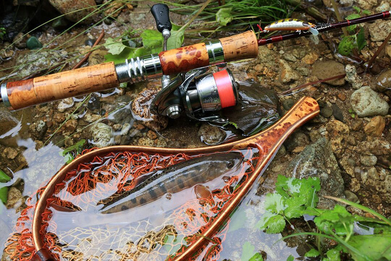 レボリューション｜ニュース（総合ブログ） ｜Casket カスケット