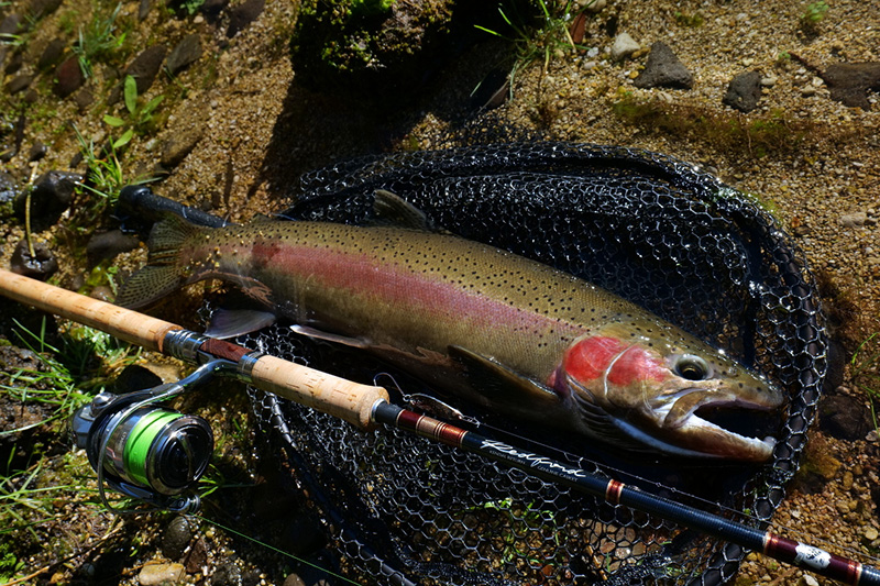 アウトバックビリーバー｜ニュース（総合ブログ） ｜Casket カスケット