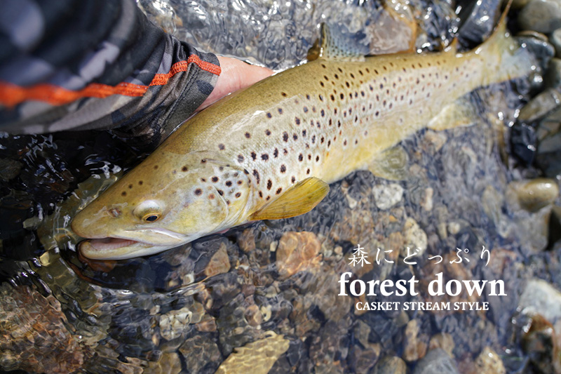 アウトバックビリーバー｜ニュース（総合ブログ） ｜Casket カスケット