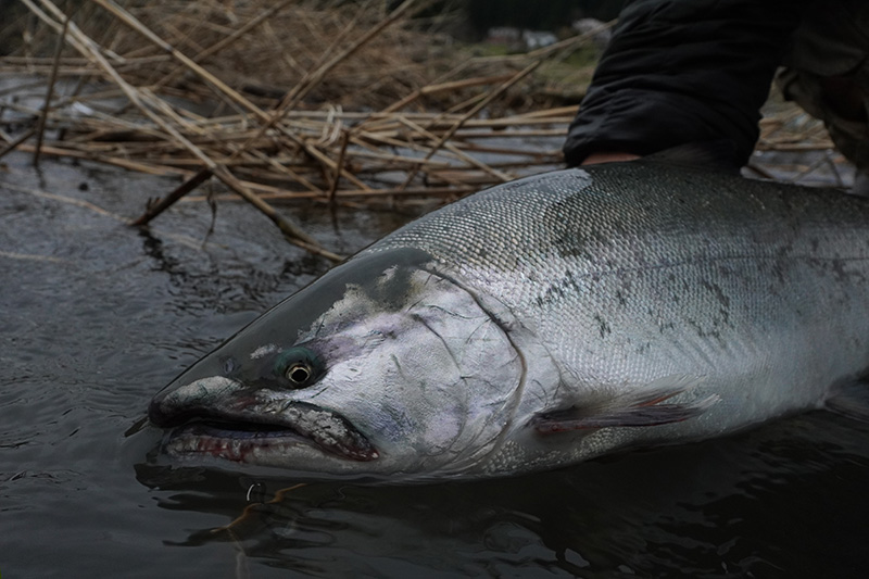 モノクローム｜ニュース（総合ブログ） ｜Casket カスケット