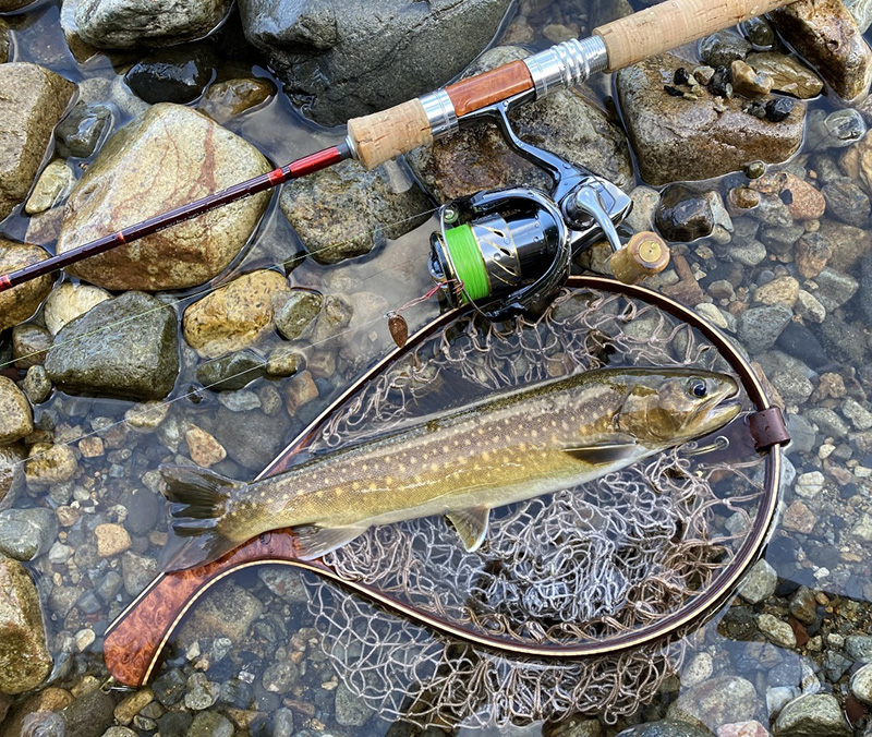 レボリューション｜ニュース（総合ブログ） ｜Casket カスケット