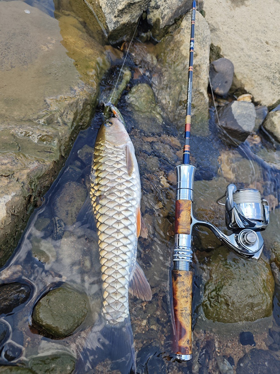 アルセドクライマー｜ニュース（総合ブログ） ｜Casket カスケット