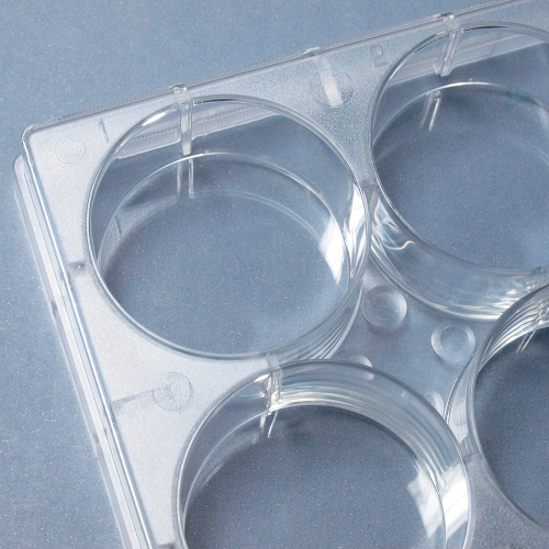 SPL セルカルチャープレート 6ウェル / Surface Treatment＋（個別包装