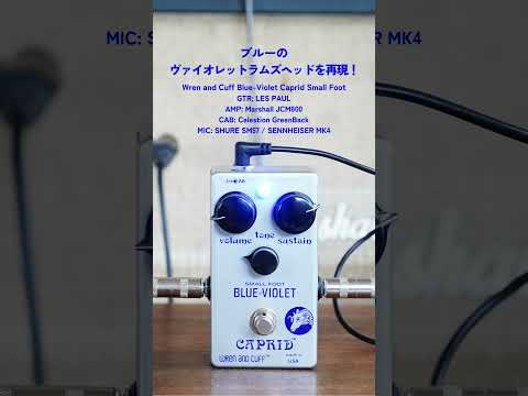 Wren and Cuff - Blue-Violet Caprid Small Foot | ファズ ギター