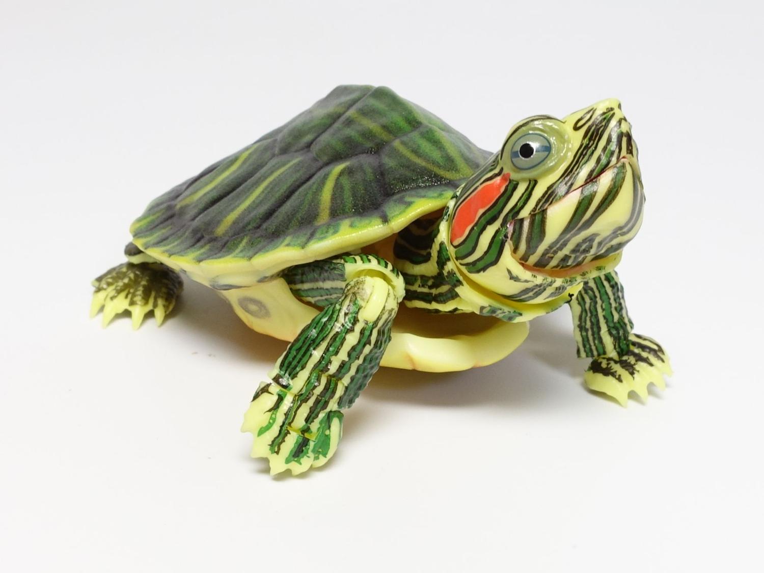 バンダイ いきもの大図鑑アドバンス カメ01