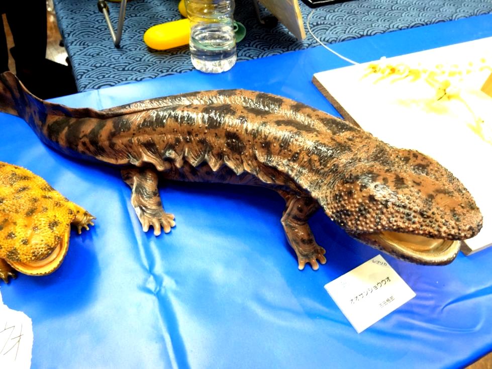 ソフビトイボックス010Aオオサンショウウオ