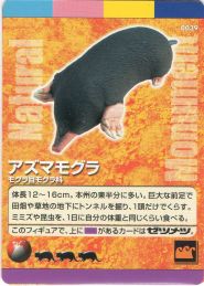 わがままな天然列島その1