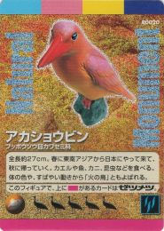 わがままな天然列島その2