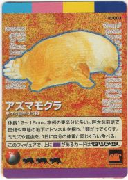 わがままな天然列島その1