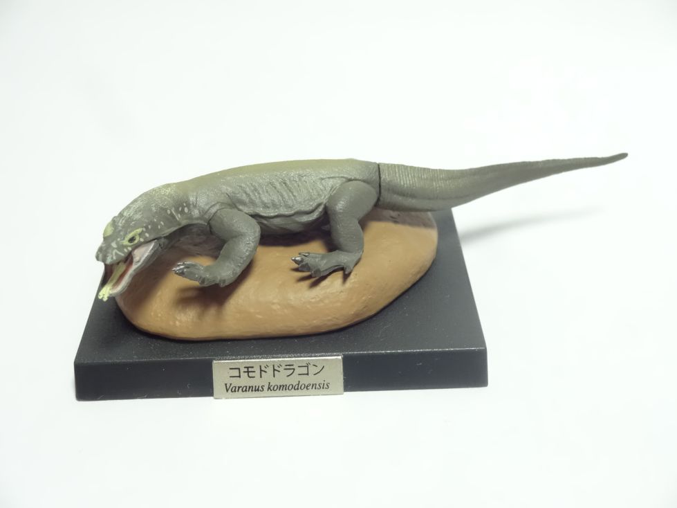 カプセルQ レプタイルズ・ラウンジ