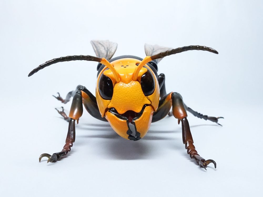 REVOGEO オオスズメバチ