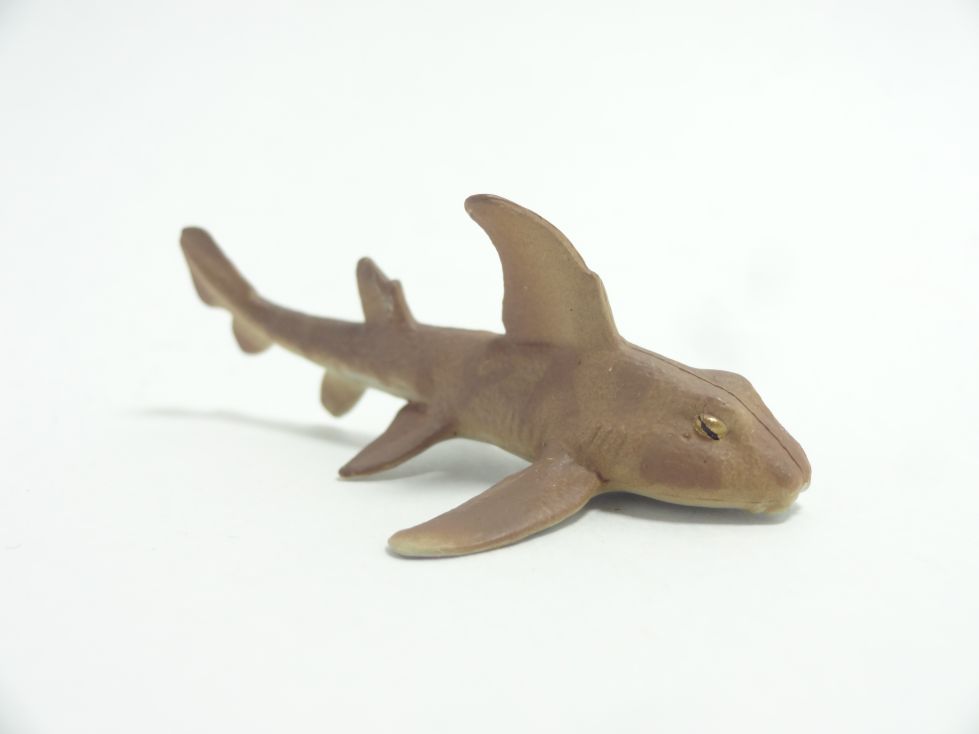 大海の捕食者サメ