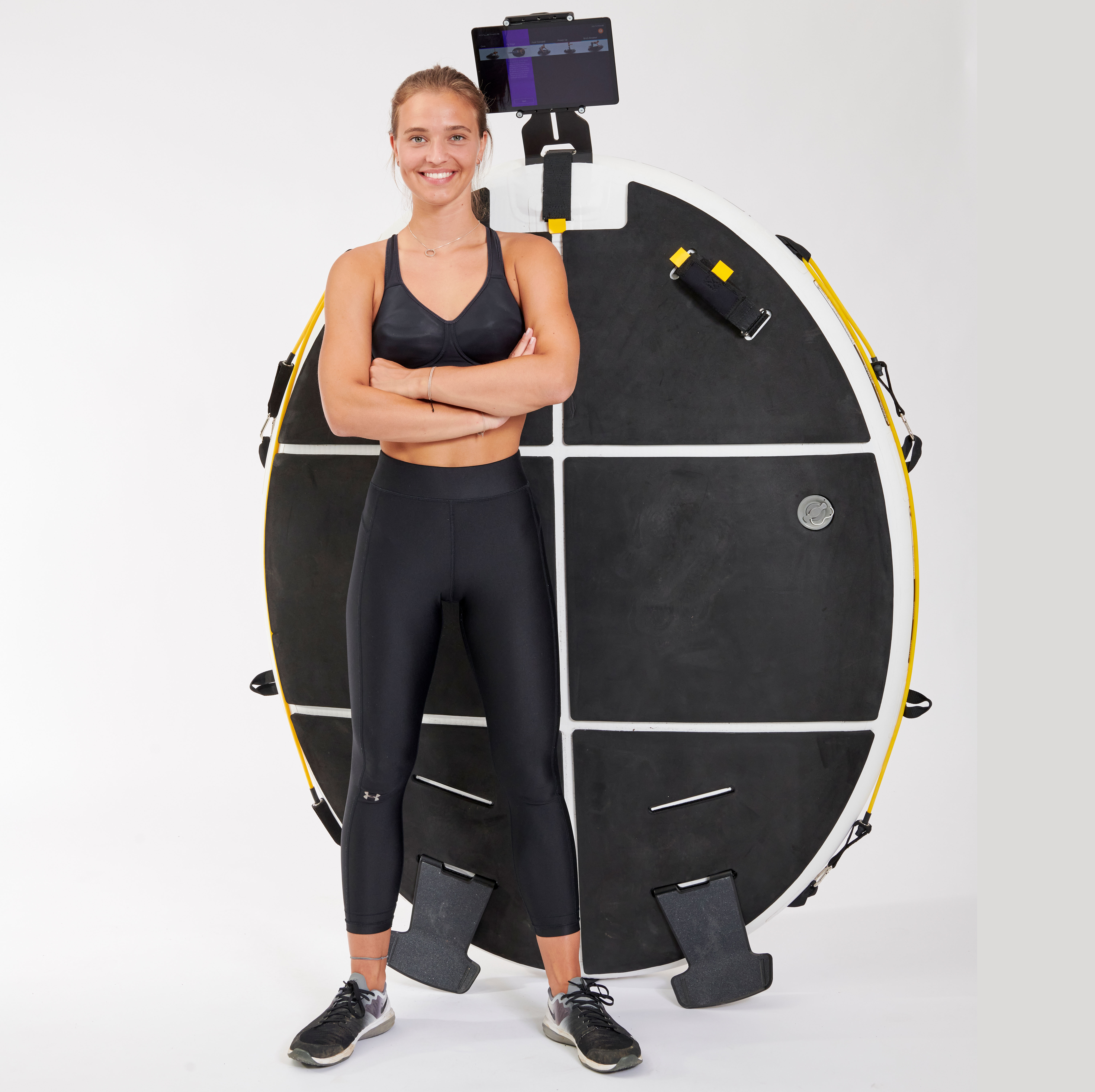 ICAROS Cloud イカロスクラウド」の詳細 | ナイス株式会社