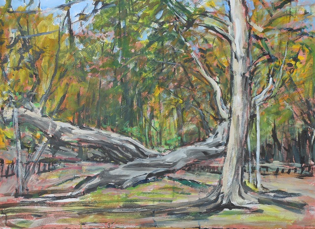 スケッチ会｜奈良市｜奈良公園｜2019年5月｜風景画・作品 | 日曜画家協会