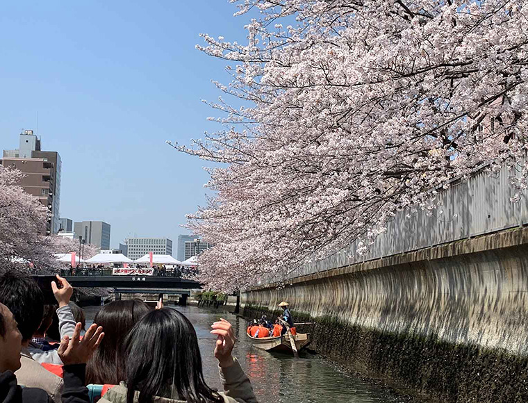 さくらのはしごクルーズ100分｜日本橋クルーズ
