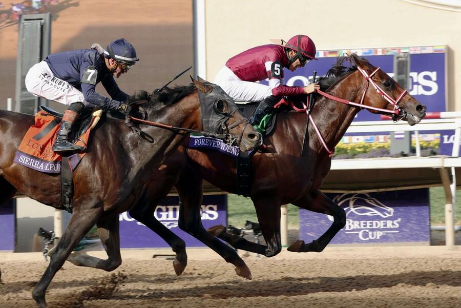 競馬］米国BCクラシック、フォーエバーヤングが日本馬初の優勝