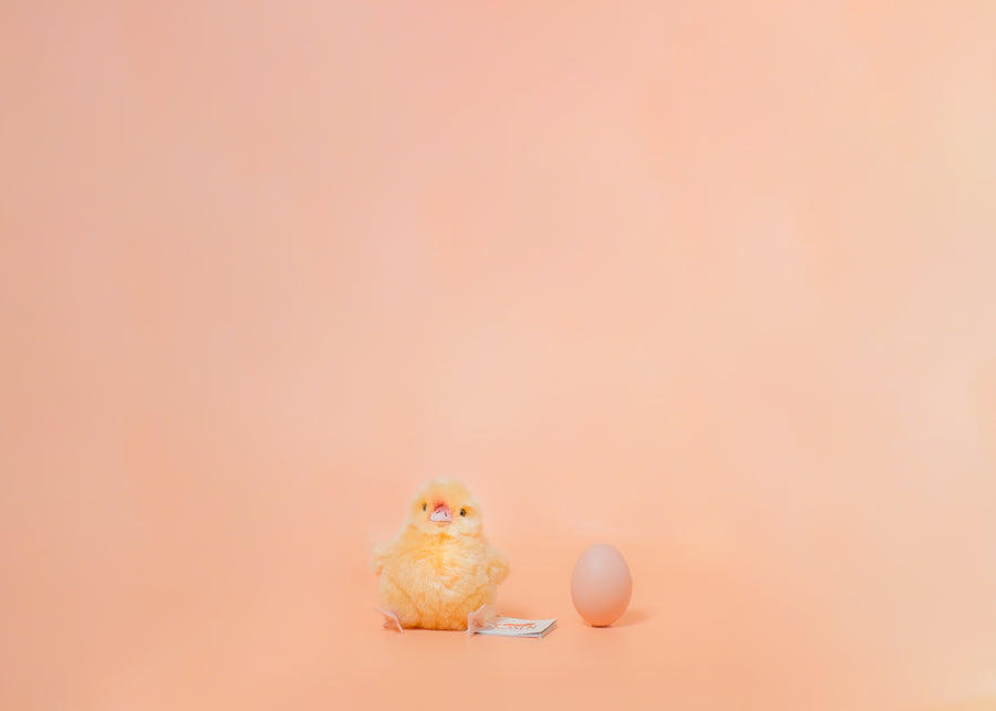 ひよこ 黄 – niiiwa