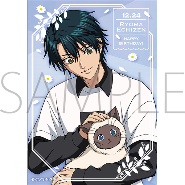 テニプリ シャイニングクリア 越前リョーマ テニスの王子様