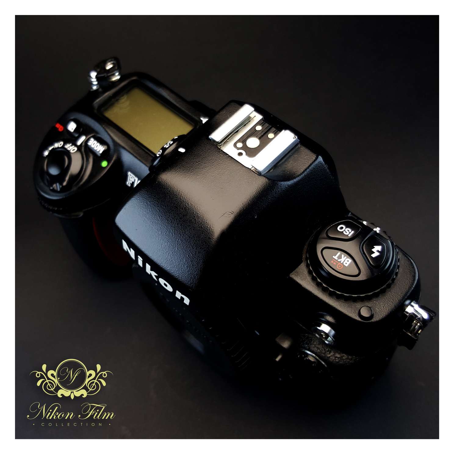 Nikon F100 - NIKON-FILM
