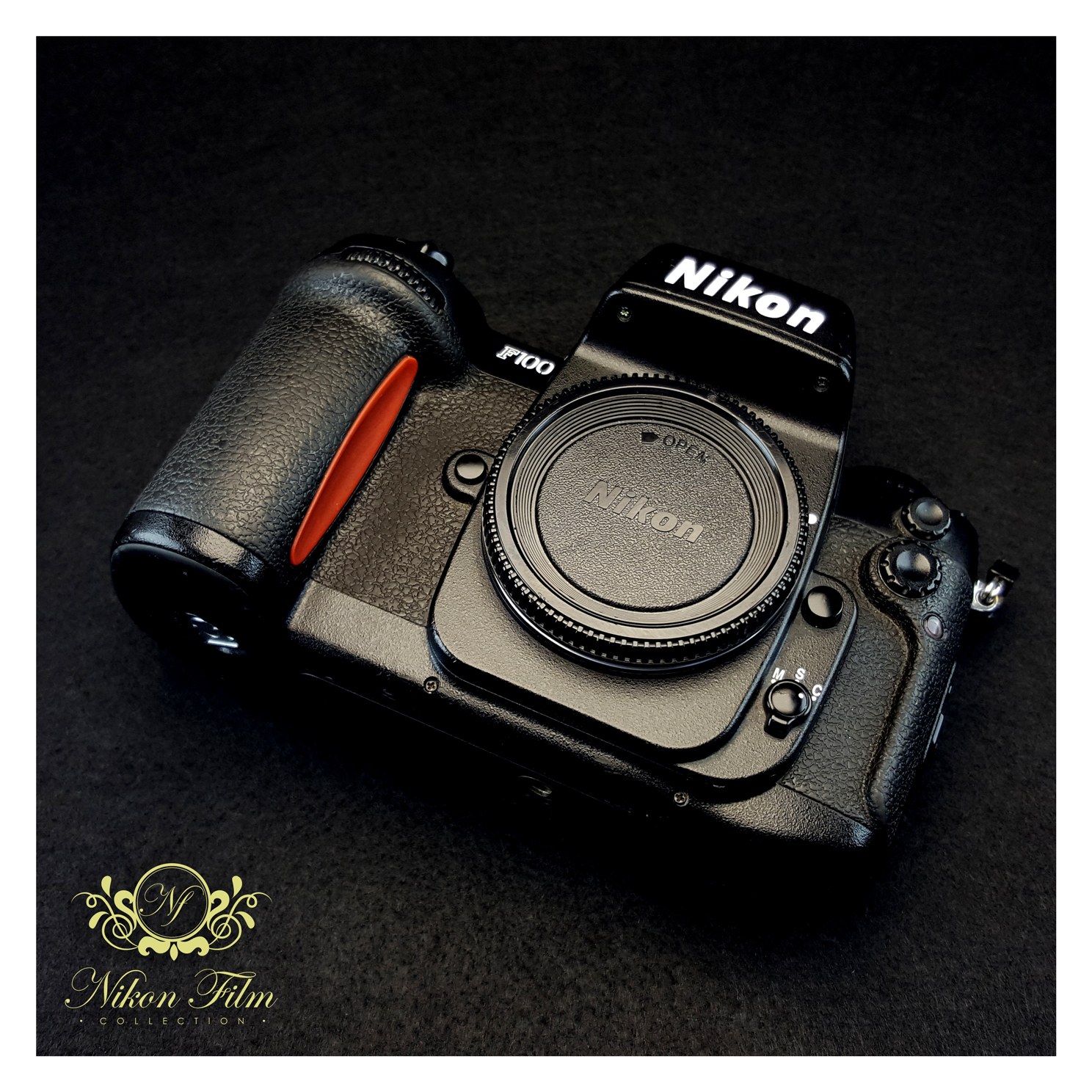 Nikon F100 - NIKON-FILM