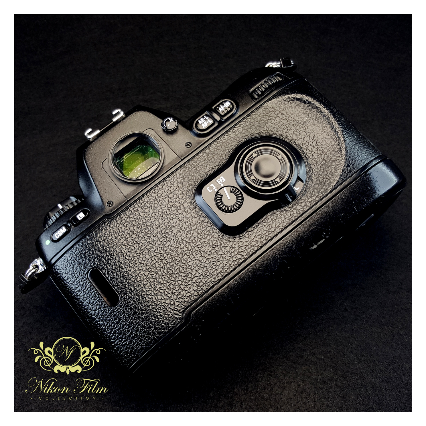 Nikon F100 - NIKON-FILM