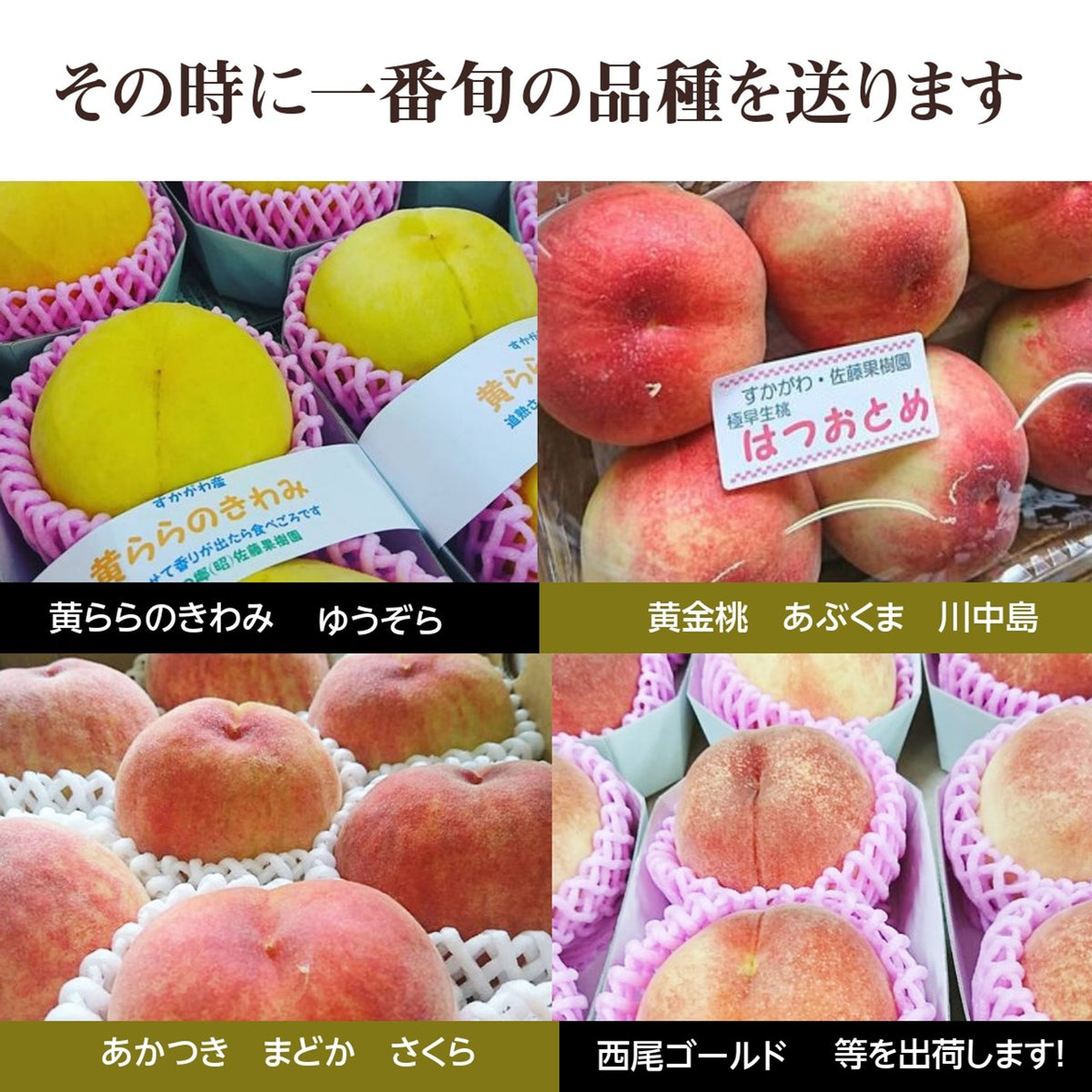 桃 【佐藤果樹園】 品種色々 2kg 6～9個 福島県須賀川市 福島の桃 福島