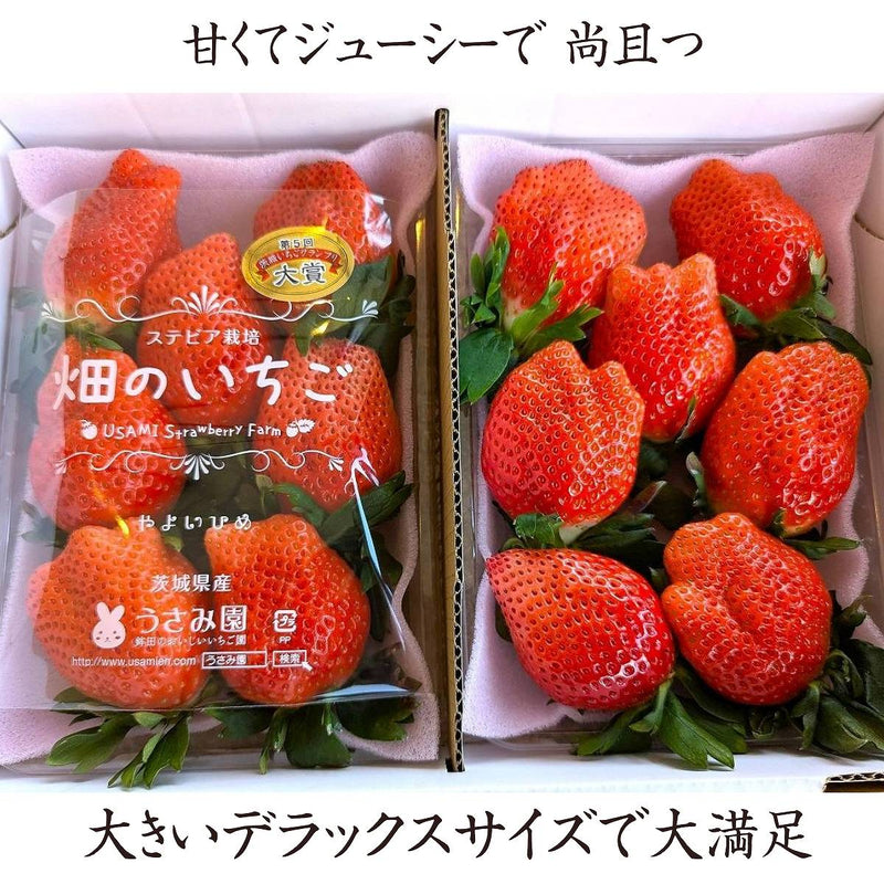 いちご 【うさみ園】 やよいひめ (7～9個)400g×2トレイ 800g ステビア